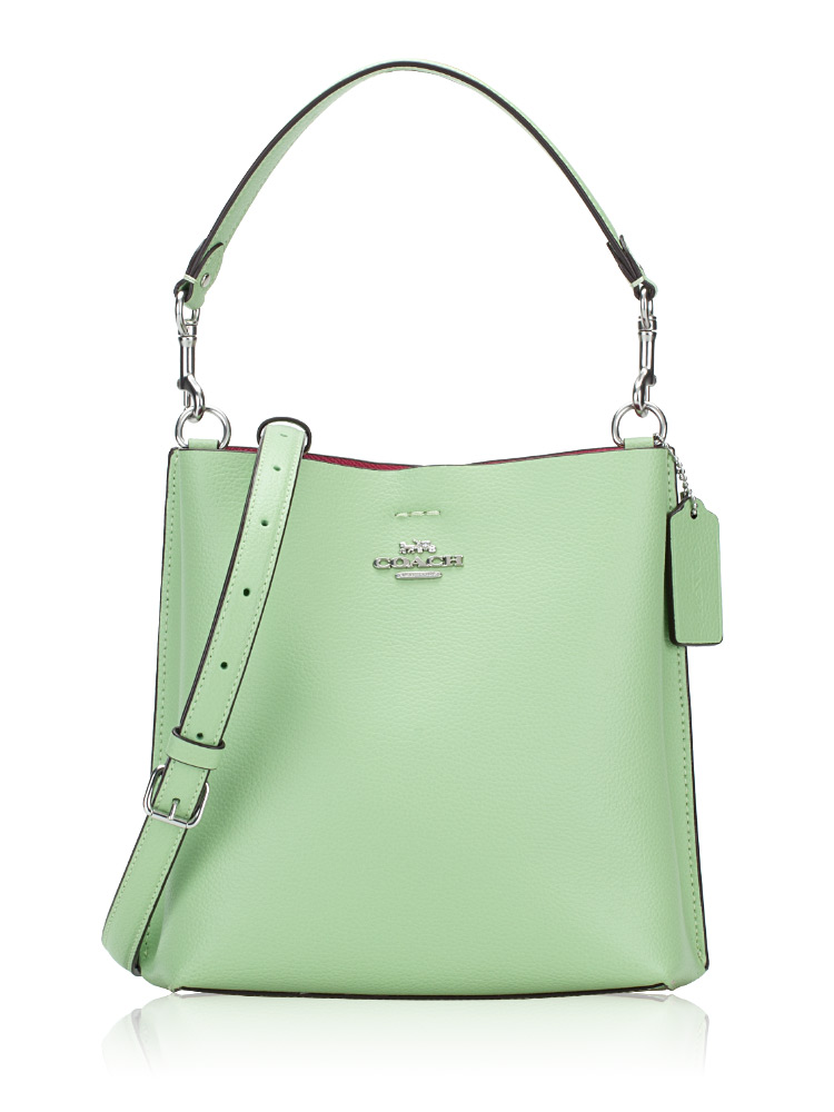CA177 Mollie Leather Bucket 22 Pale Pistachio