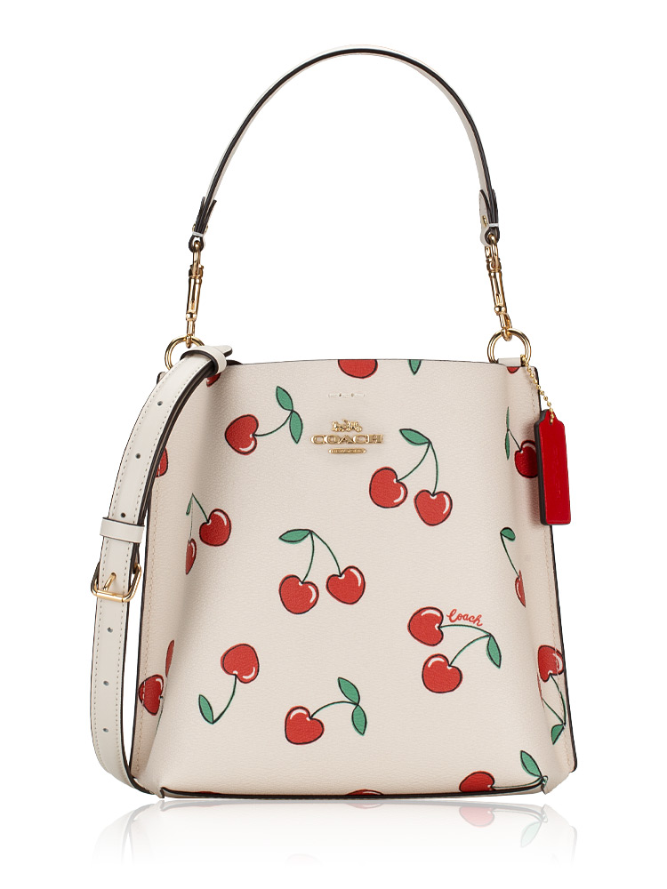CF422 Cherry Leather Bucket 22 Chalk Multi