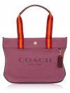 CK168 Canvas Small Tote Light Raspberry Multi