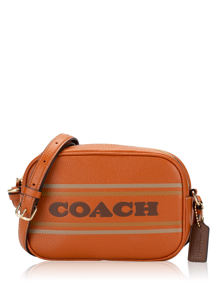 CH308 Jamie Stripe Mini Camera Bag Canyon Multi