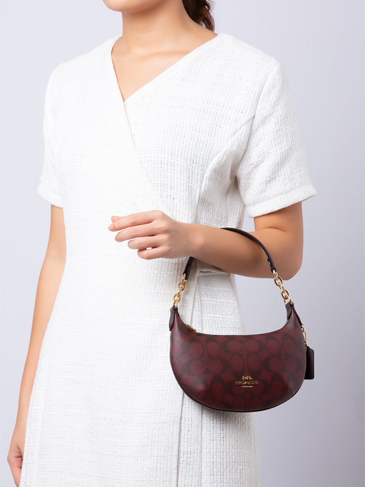 CM273 Signature Payton Mini Shoulder Oxblood Multi