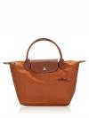 Le Pliage Green Small SH Cognac