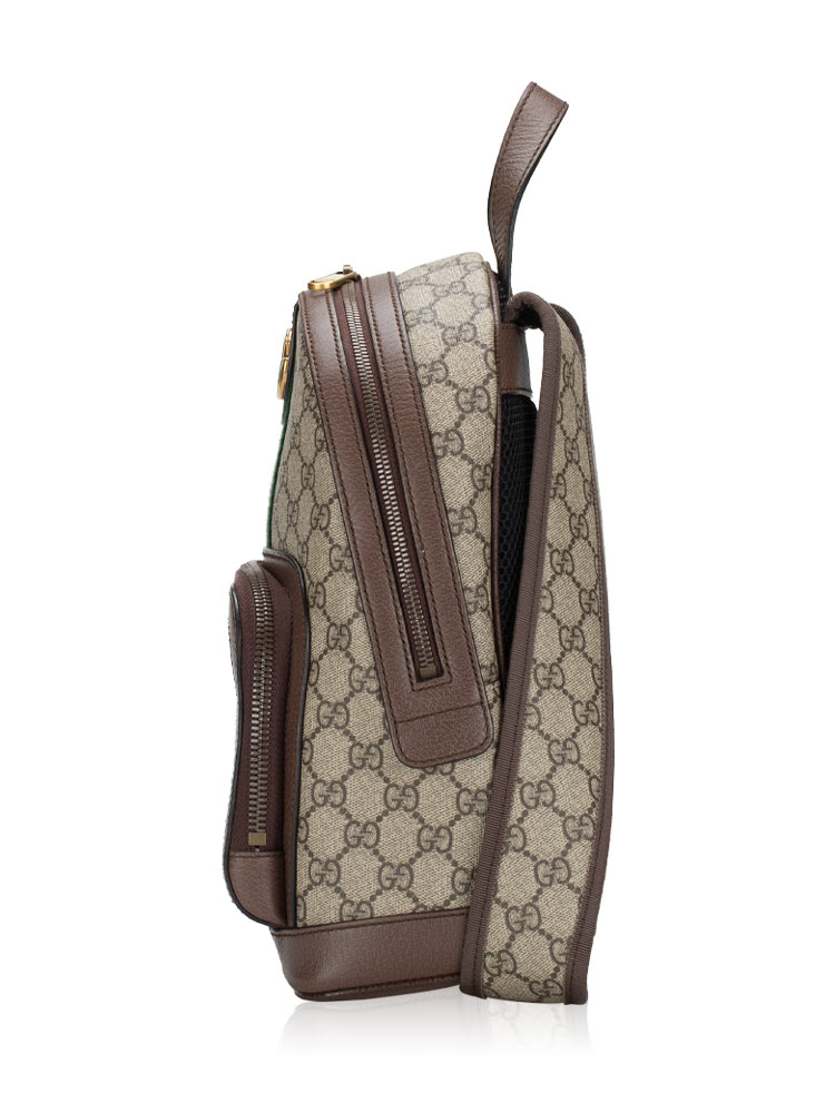GG Supreme Web Ophidia Day Small Backpack New Acero