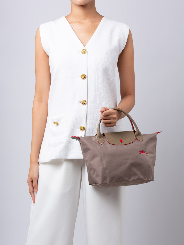 Le Pliage Club Small SH Mink silver