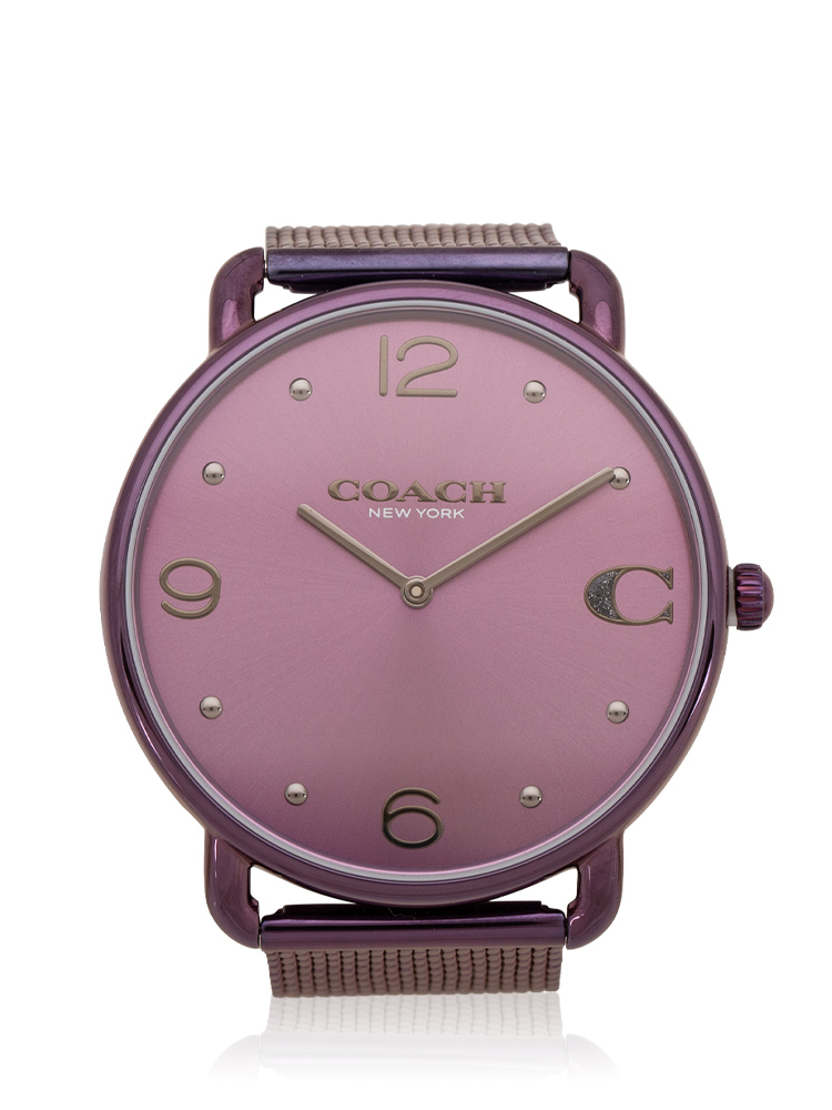 14504258 Elliot 41 MM Stainless Watch Purple