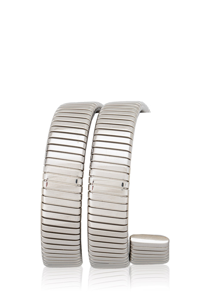 BB 19 1TS Stainless Steel 19 mm Serpenti Tubogas Watch Silver Black