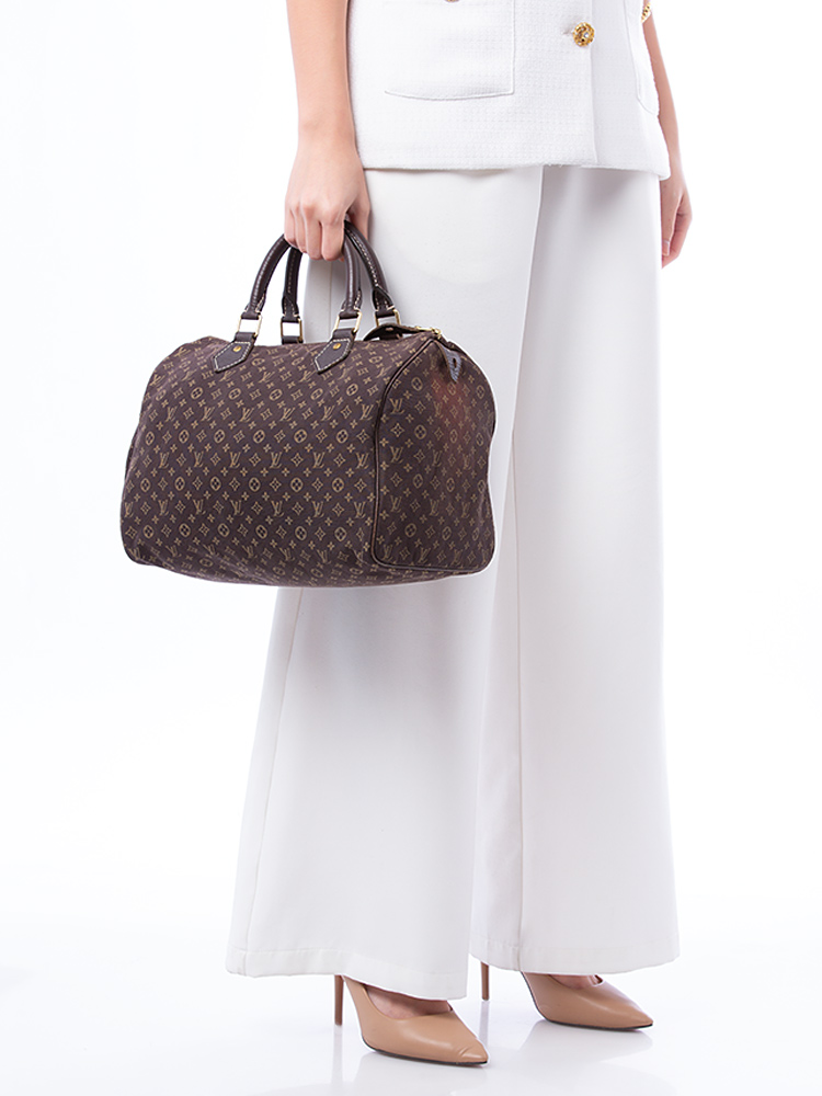 Mini Lin Speedy 30 Ebene