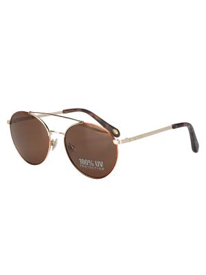 FM119 Sunglasess Gold Tortoise