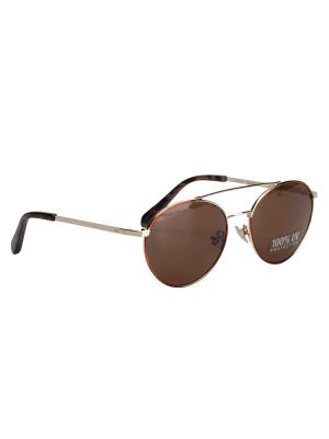 FM119 Sunglasess Gold Tortoise