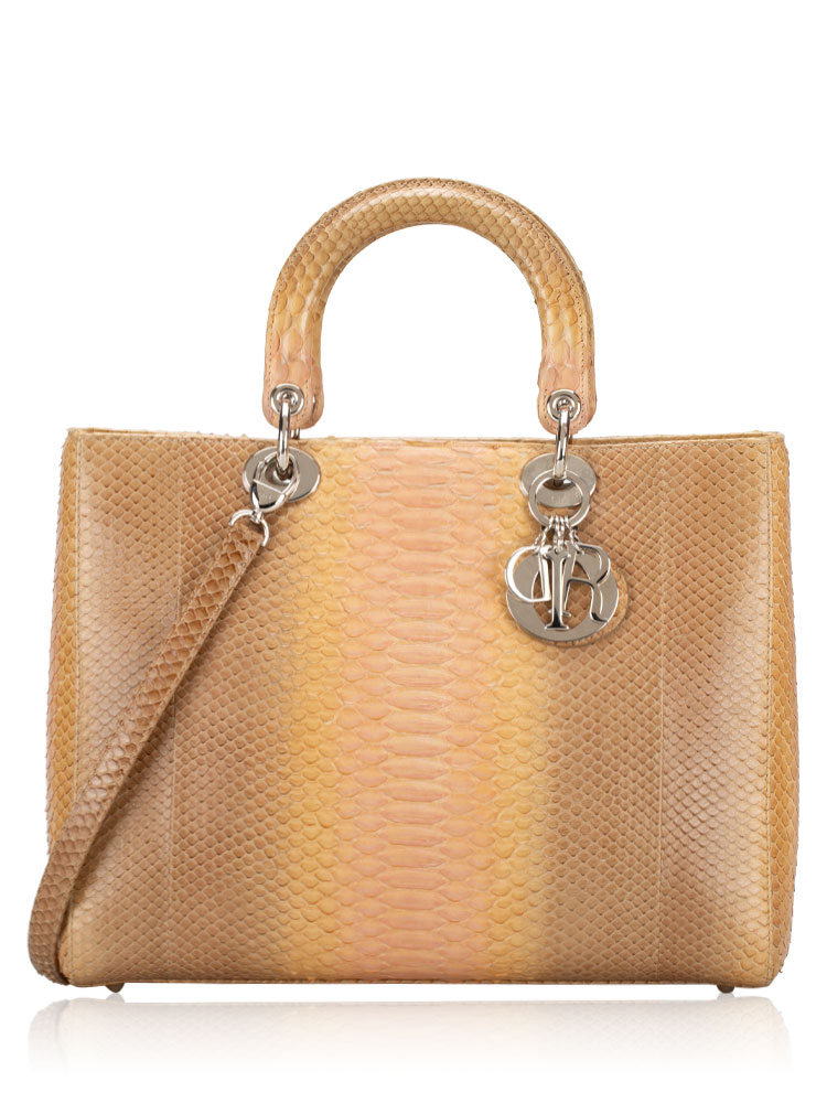 Python Large Lady Dior Beige Multicolor