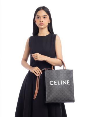 Canvas Triomphe Small Vertical Cabas Tan