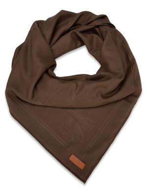 Cashmere Silk Les Sangle 115 Scarf Marron Glacé