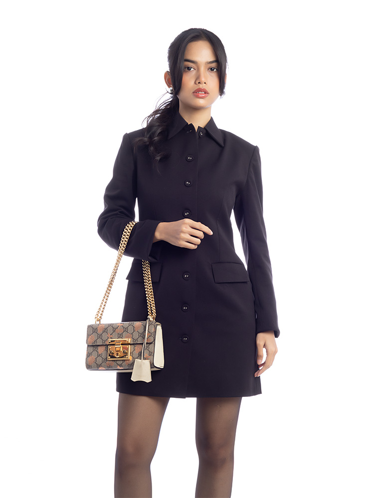 GG Supreme Berry Padlock Small Shoulder Bag Beige Ebony