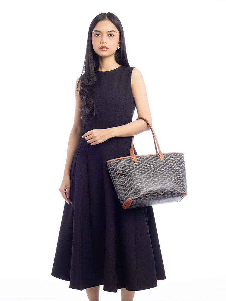 Goyardine Artois PM Black Tan