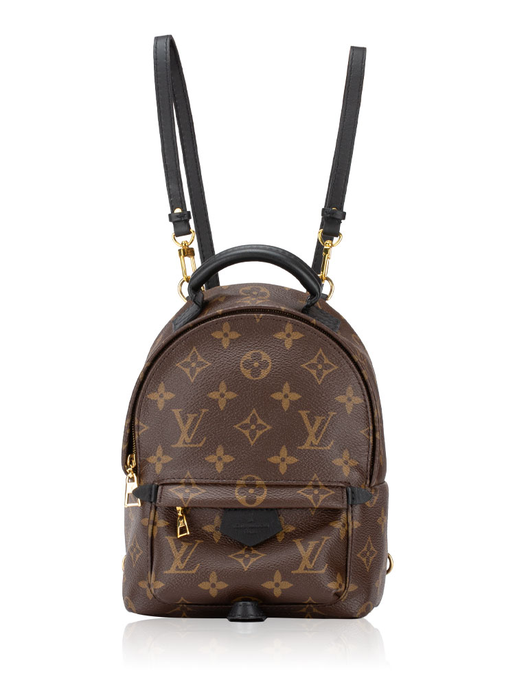Monogram Mini Palm Springs Noir