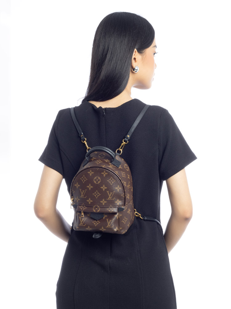 Monogram Mini Palm Springs Noir