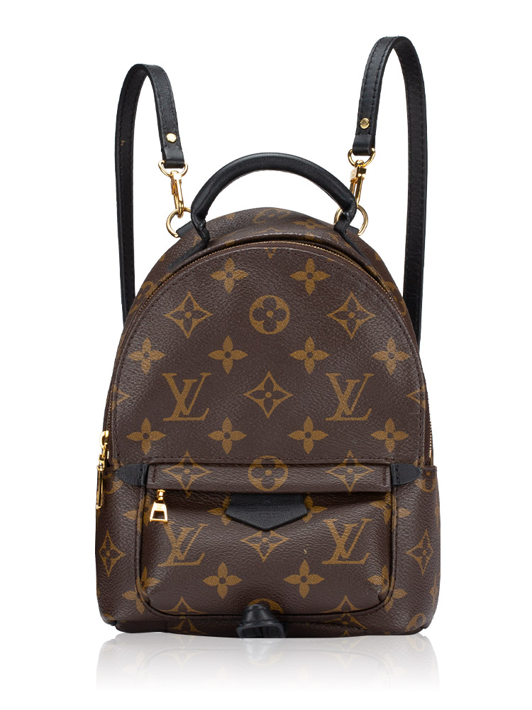 Monogram Palm Springs Mini Noir