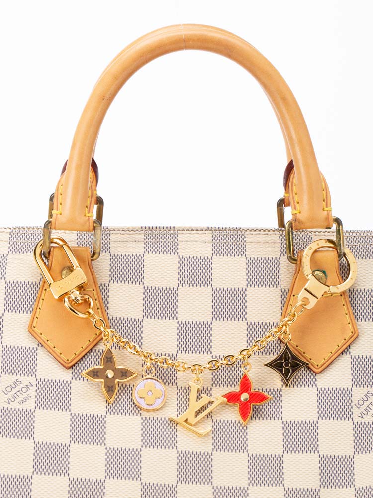 Monogram Spring Street Chain Bag Charm Gold
