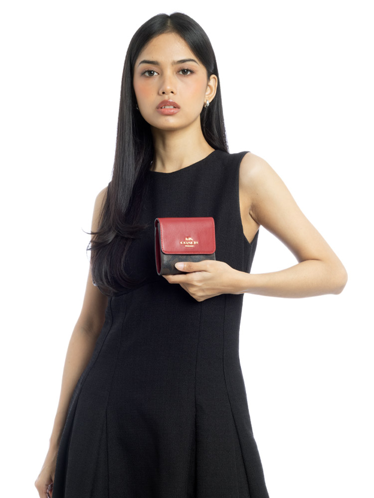 CE930 Signature Colorblock Small Trifold Wallet Brown Red